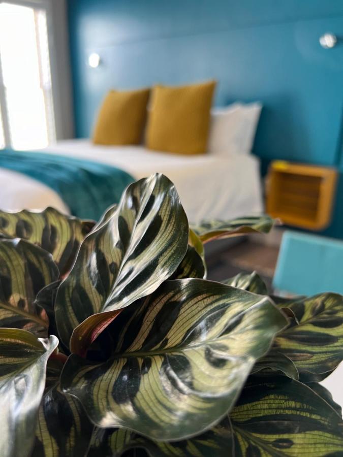 Hermanus Waterfront Apartment No 17 Esterno foto